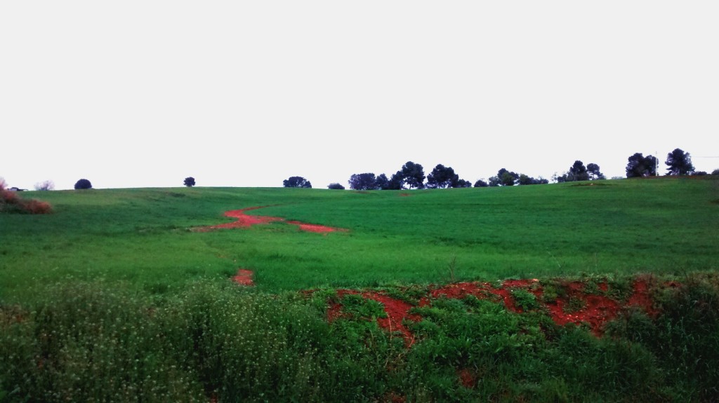 Paisatge del pla de Bages.