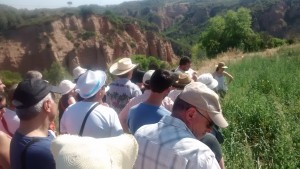 Visita guiada pels camps ecològics.